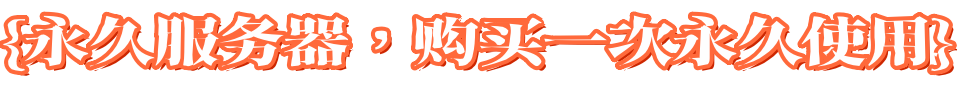 永久服务器